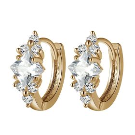 European And American Personalized Square Zircon Earrings (Option: Gold)