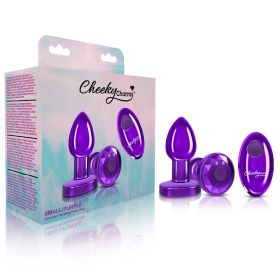 Vibrating Purple Metal Remote Plug (Option: Small)